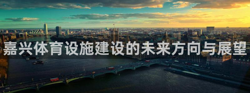 意昂体育4是干嘛的公司：嘉兴体育设施建设的未来方向与