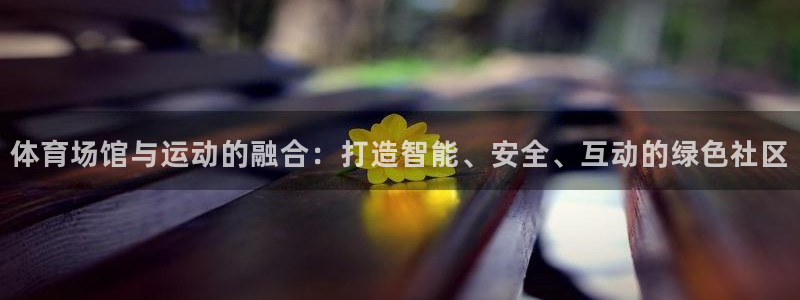 意昂4神州：体育场馆与运动的融合：打造智能、安全、互