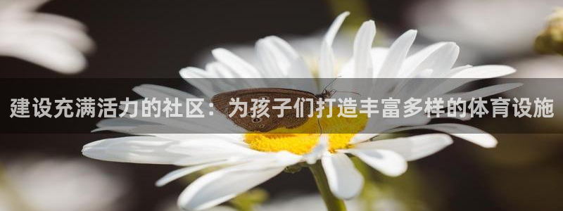 意昂体育4是干嘛的公司：建设充满活力的社区：为孩子们