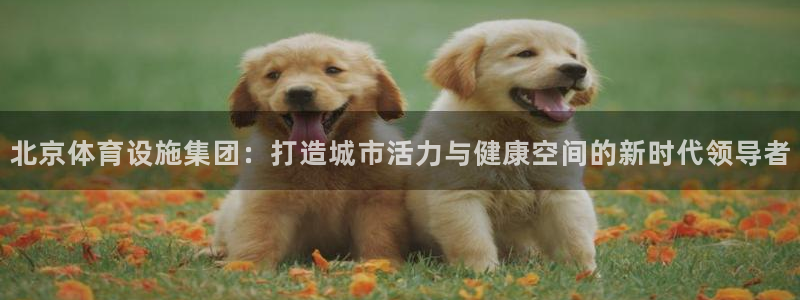 意昂4集团logo：北京体育设施集团：打造城市活力与健康空间
