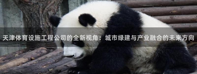 意昂体育4平台是正规平台吗知乎：天津体育设施工程公司的全新视 
