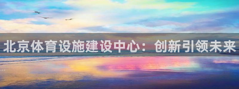 意昂4新能源