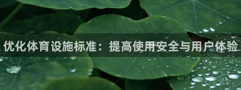 意昂体育4平台注册流程视频：优化体育设施标准：提高使用安全与