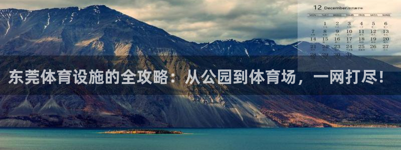 意昂4集团简介：东莞体育设施的全攻略：从公园到体育场，一网打