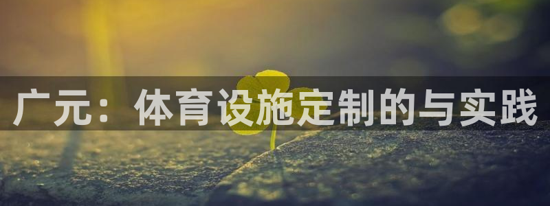 意昂4集团官网网址：广元：体育设施定制的与实践