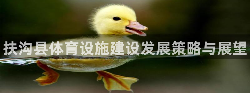 意昂体育4平台是正规平台吗