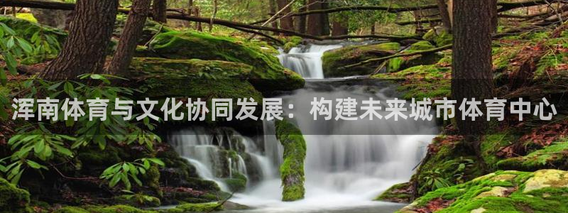 意昂4集团logo：浑南体育与文化协同发展：构建未来