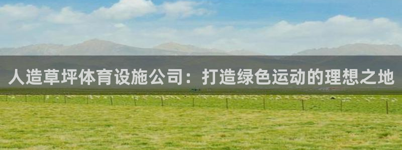 意昂4娱乐：人造草坪体育设施公司：打造绿色运动的理想