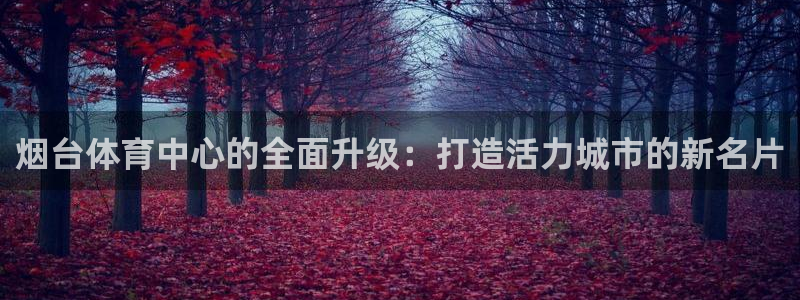 意昂4官网：烟台体育中心的全面升级：打造活力城市的新