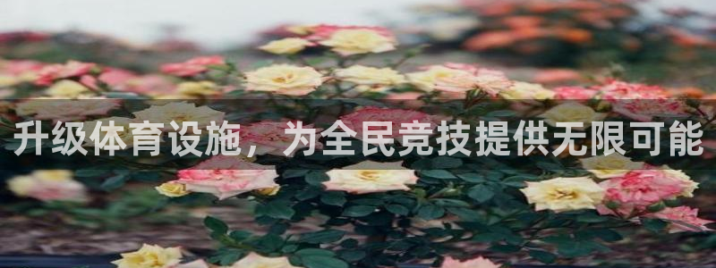 意昂4娱乐40996：升级体育设施，为全民竞技提供无