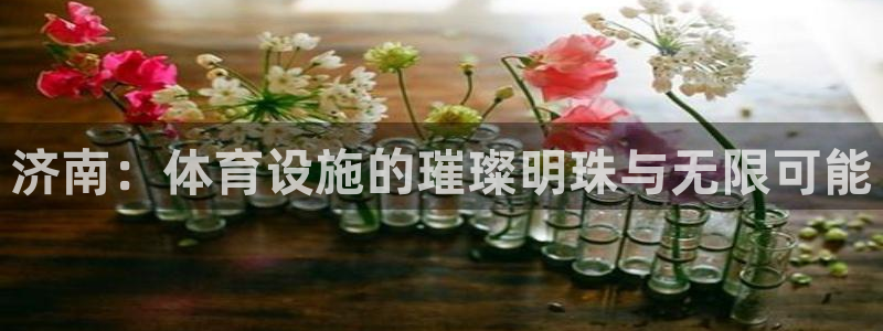 意昂体育4开户：济南：体育设施的璀璨明珠与无限可能