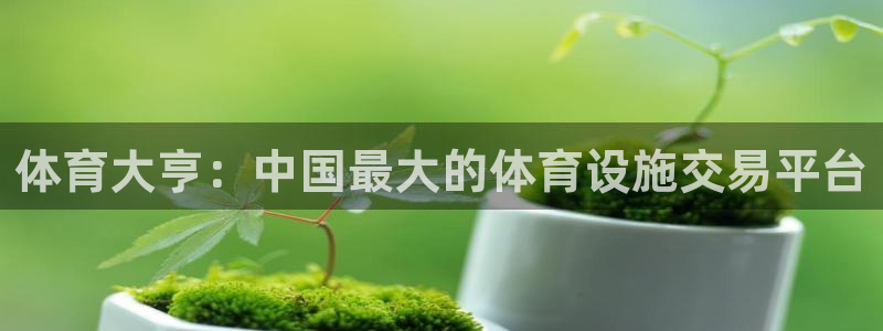 意昂4官方：体育大亨：中国最大的体育设施交易平台