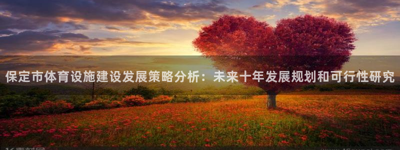 意昂4开户：保定市体育设施建设发展策略分析：未来十年