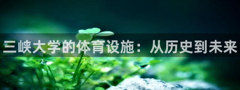 意昂体育4招商电话地址是多少：三峡大学的体育设施：从