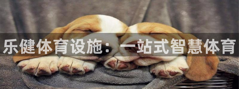 意昂平台体育：乐健体育设施：一站式智慧体育