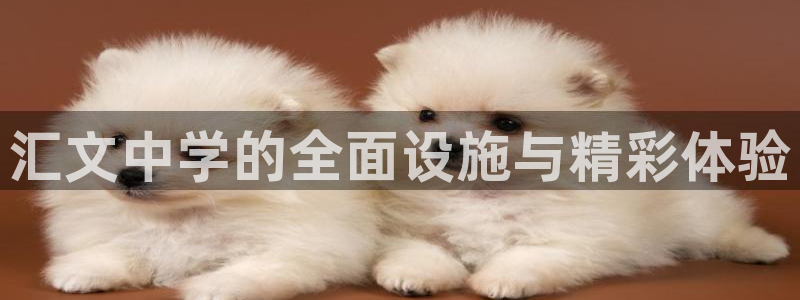 意昂体育4招商电话号码查询是多少