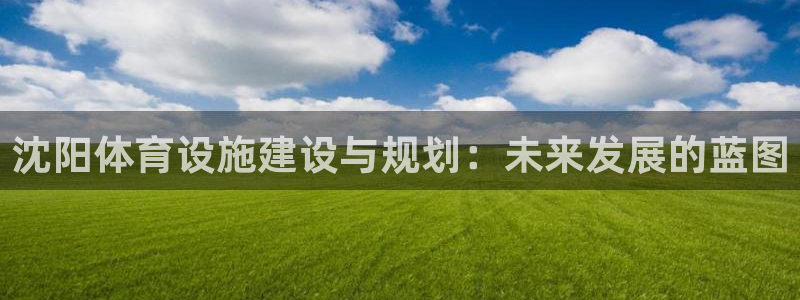 意昂4娱乐首页官网下载：沈阳体育设施建设与规划：未来